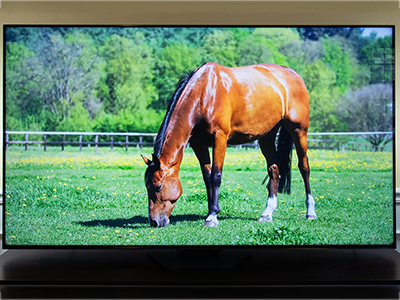 LCD TV Repair